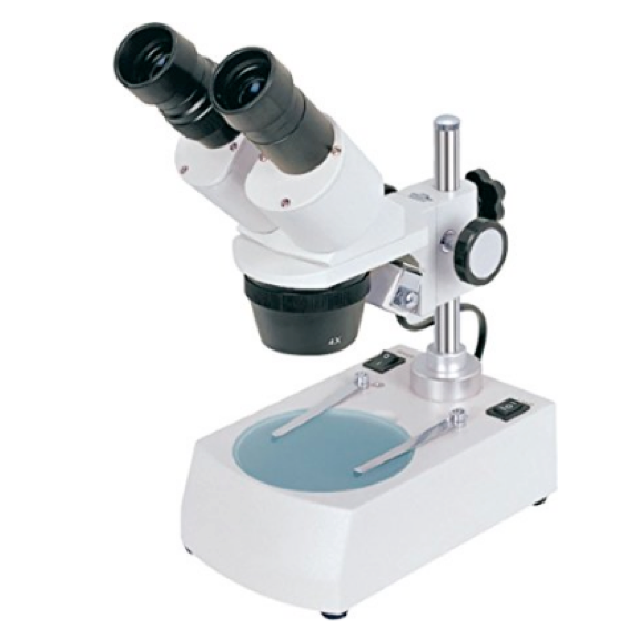 Stereo Microscopes